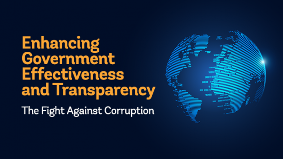 Enhancing Government Effectiveness and Transparency: The Fight Against Corruption